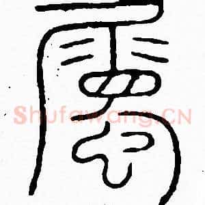 屬