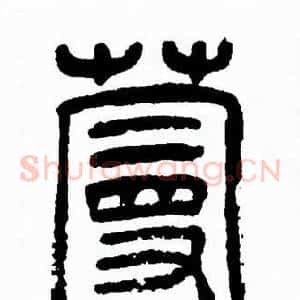 蔓