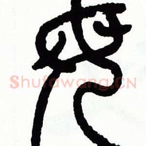 母