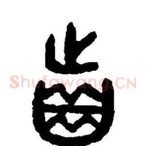 齿
