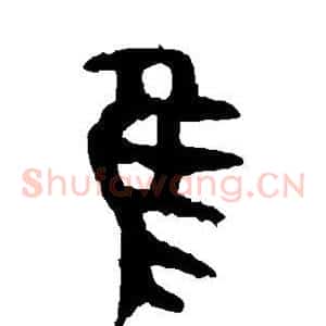 隹