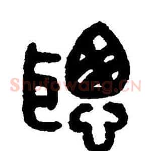 聪
