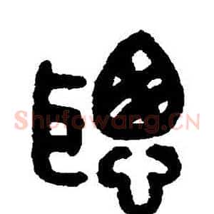 聰