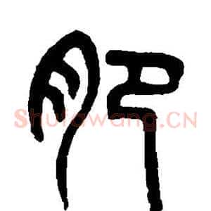 肥