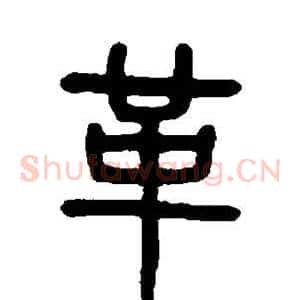 革