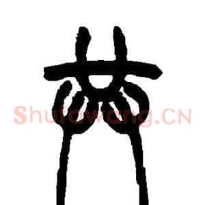 共