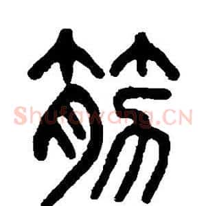 筋