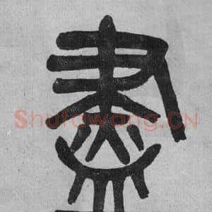 盡