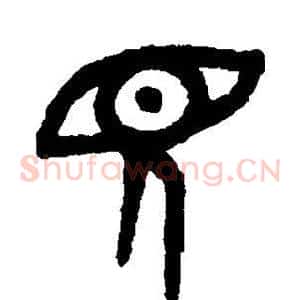 见