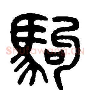 驹