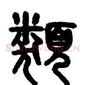類
