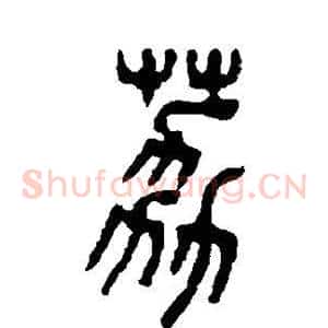荔