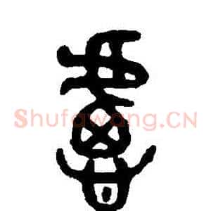 慮