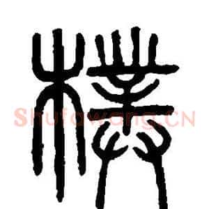 朴