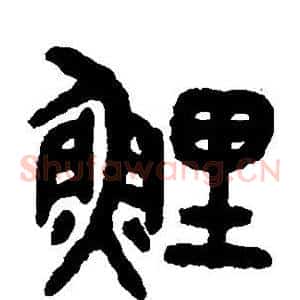鲤