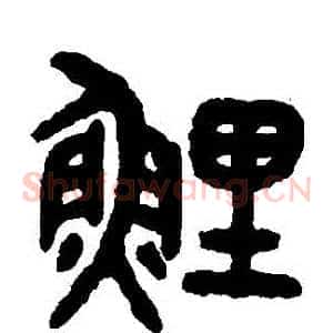 鯉