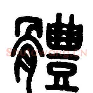 體