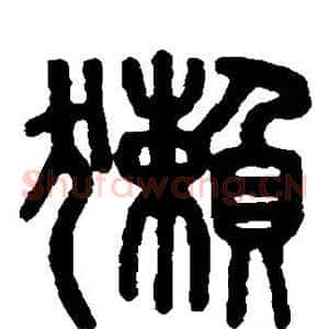 獭