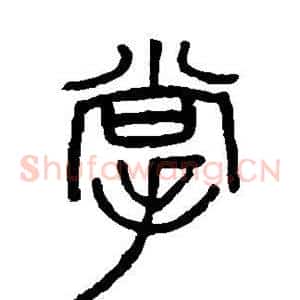 掌