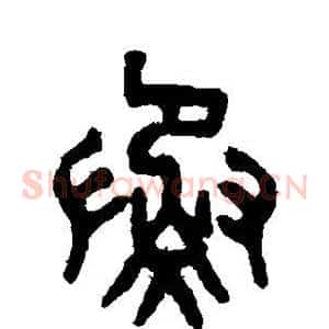 蒸