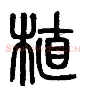 植