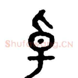 卓
