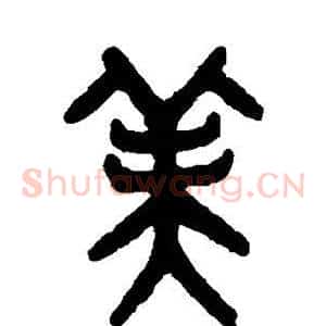 美