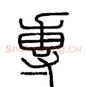 专