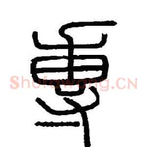 專