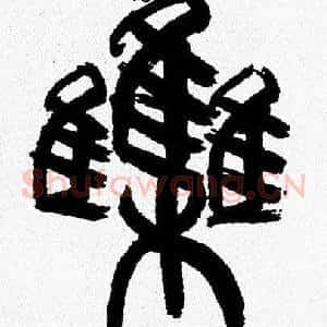 集