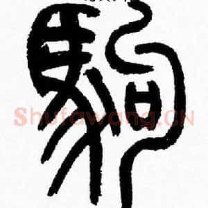 驹