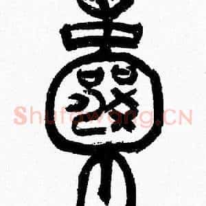 囊