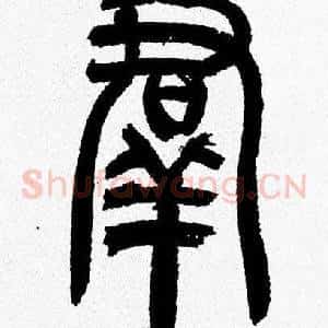 群