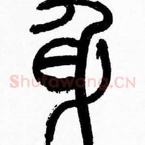 身