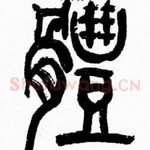 體