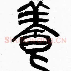 養