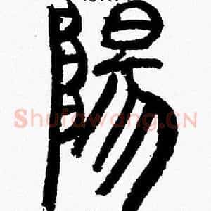 陽