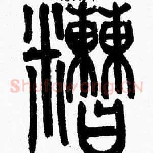 糟