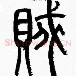 賊