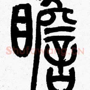瞻