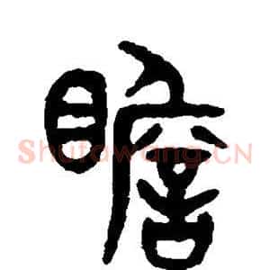 瞻