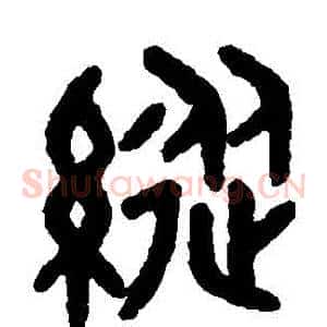 縱