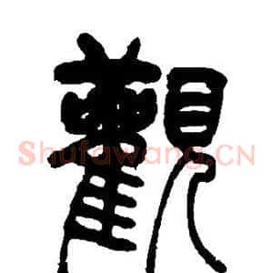 观