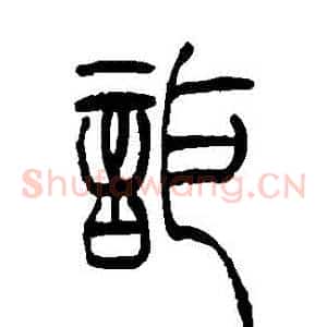 詎