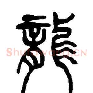 龙