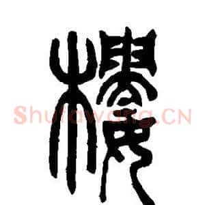 楼