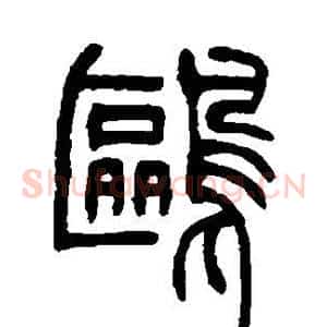鸥