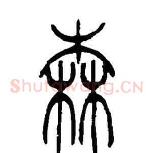 森