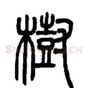 樹