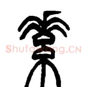 素